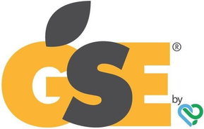 Logo von GSE